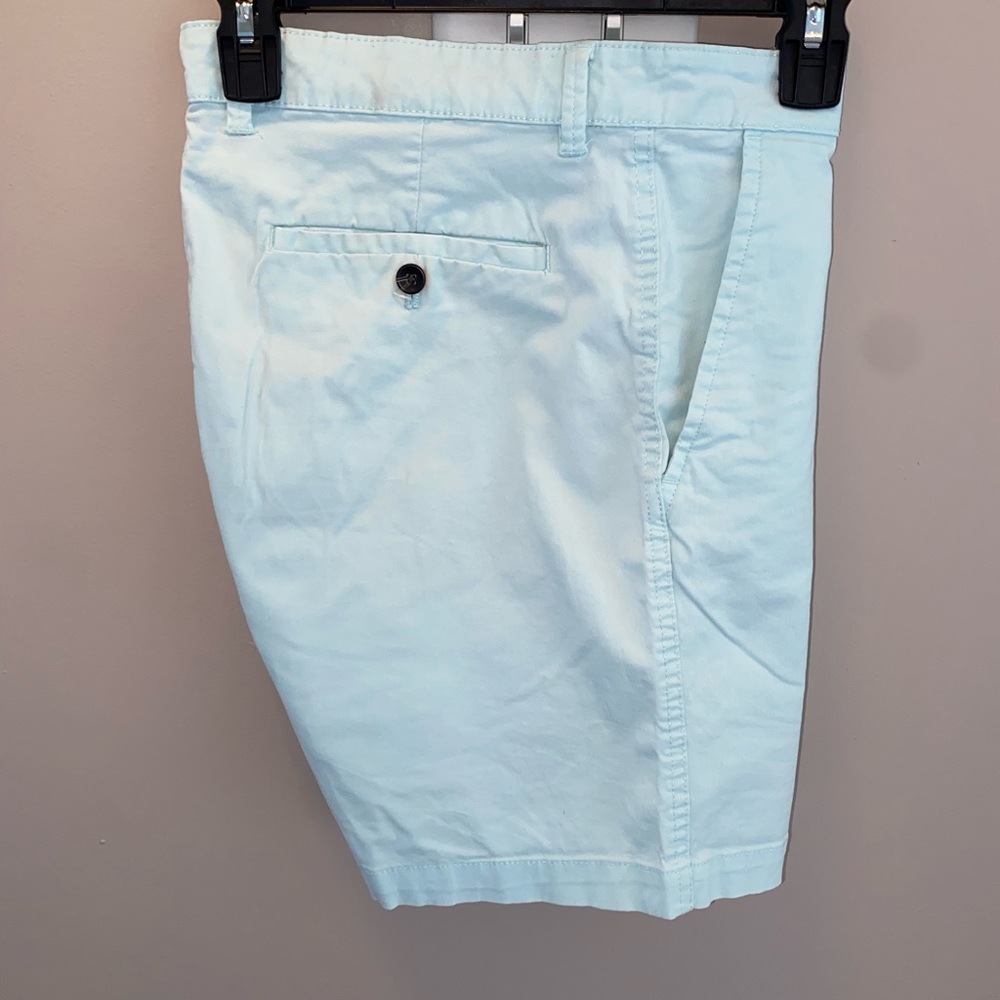 Mint green dress shorts